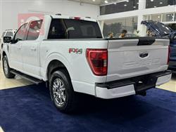 فۆرد F-150